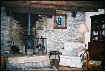 Photo of the Living Area with Fireplace